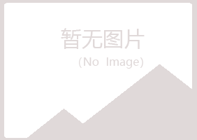 白银平川向珊化学有限公司